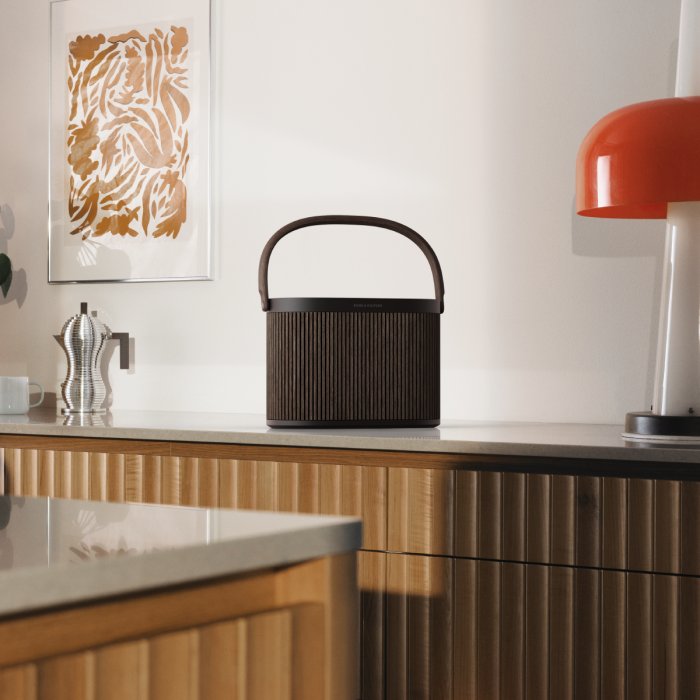 Consultez nous pour d�couvrir la gamme des enceintes portables de chez BANG & OLUFSEN