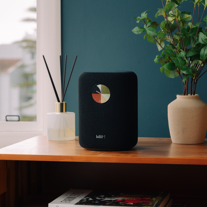 Consultez nous pour d�couvrir la gamme des enceintes portables de chez WIIM